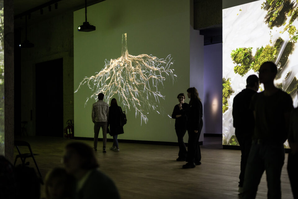 Signal Festival festival of digital and creative culture in Prague