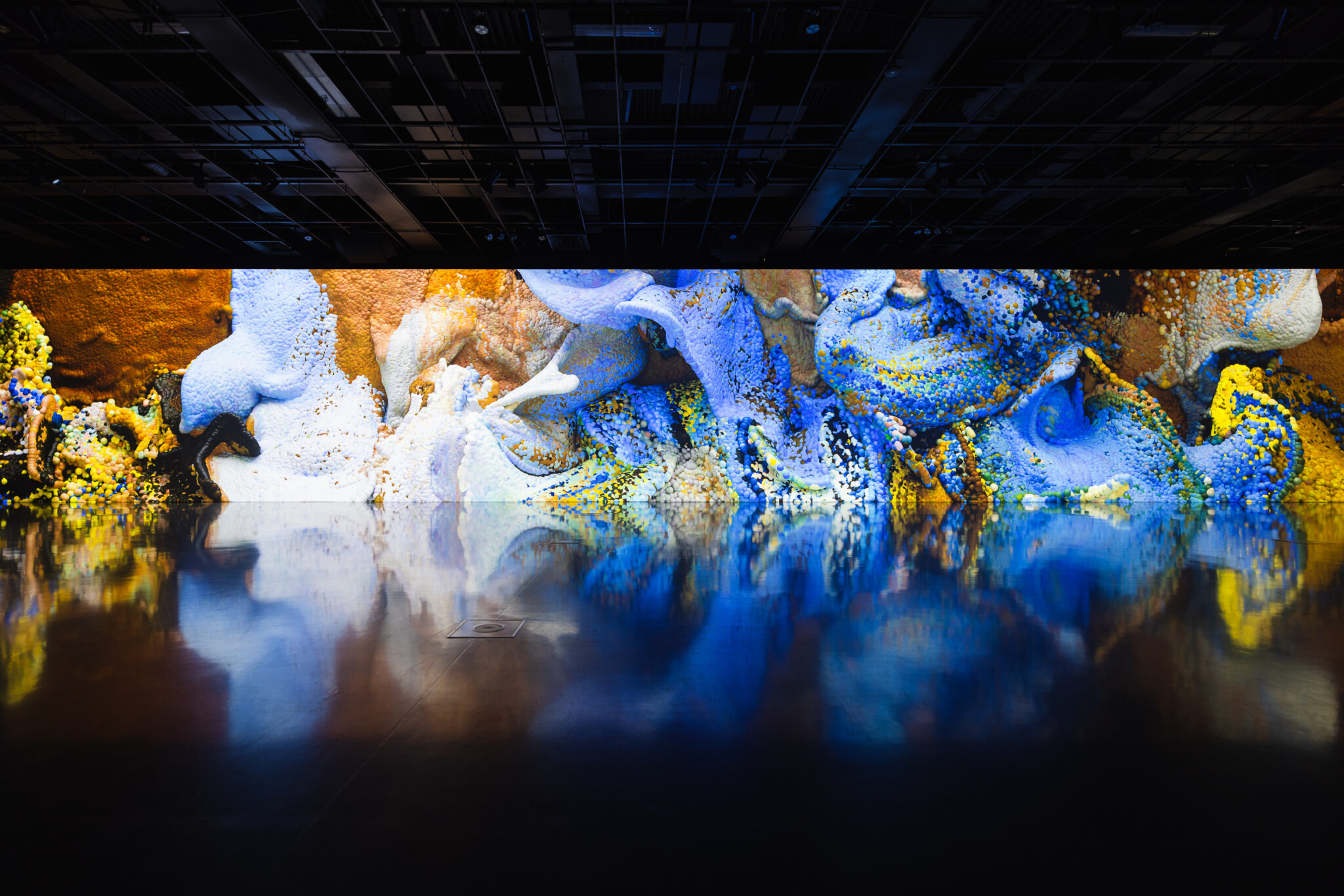 About | Signal Festival